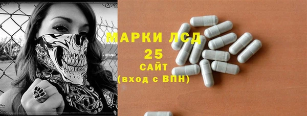 индика Абинск
