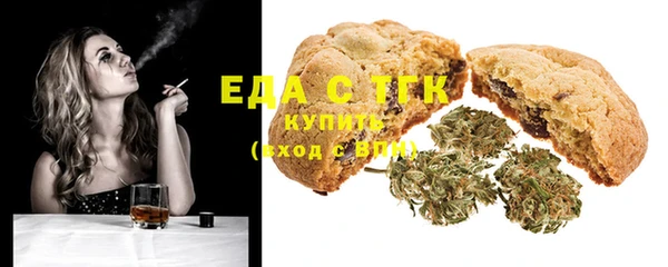 индика Абинск