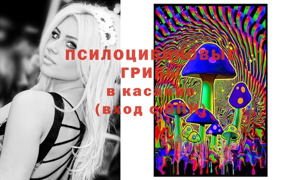 индика Абинск