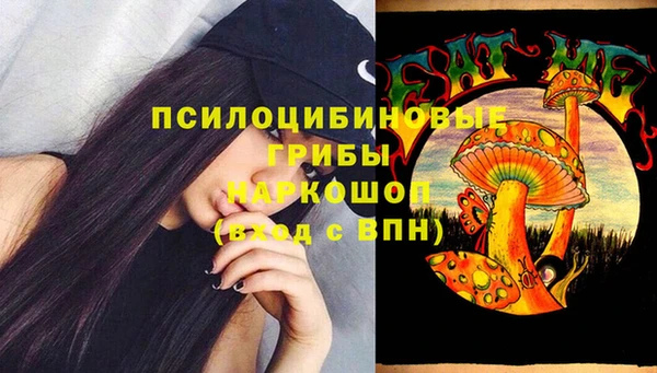 индика Абинск