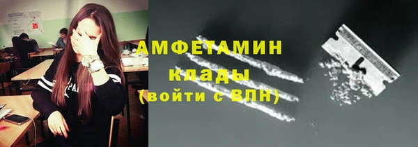шишки Абаза