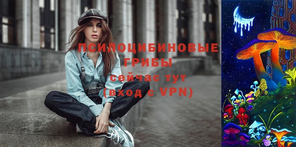 шишки Абаза