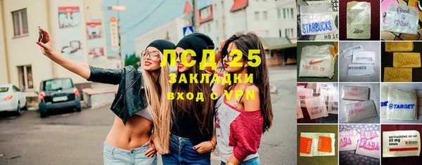 шишки Абаза