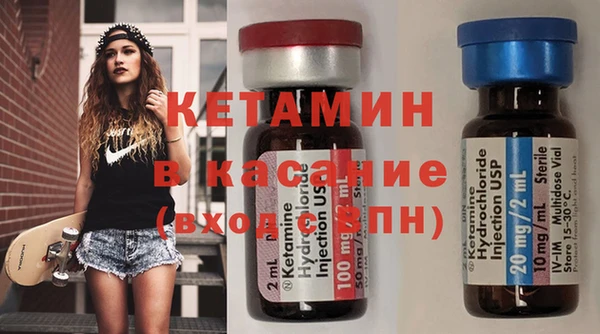 шишки Абаза