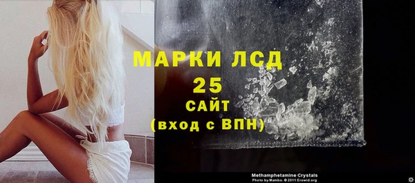 шишки Абаза