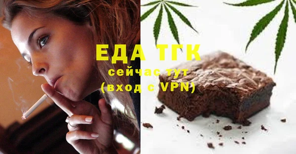 индика Абинск