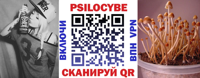 где купить наркоту  МЕГА вход  Псилоцибиновые грибы мицелий  Сафоново 