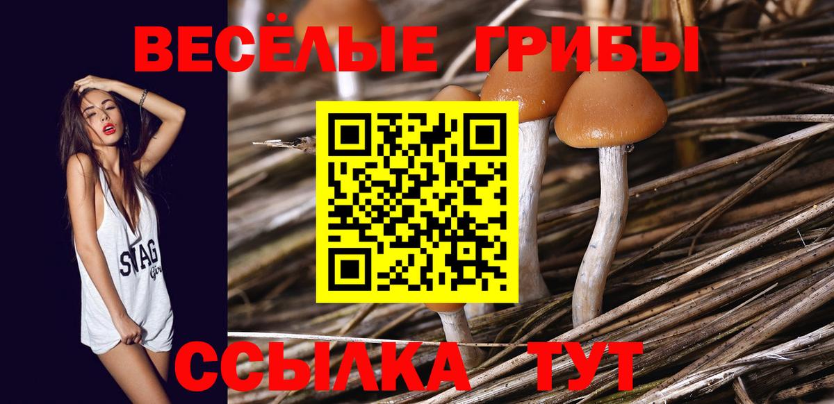 Галлюциногенные грибы мицелий Сафоново