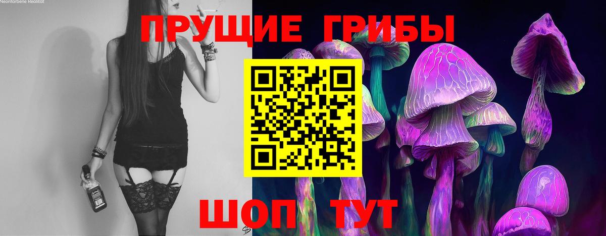 Сафоново  Псилоцибиновые грибы GOLDEN TEACHER  Вход с VPN 